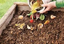 Compost with food scraps
