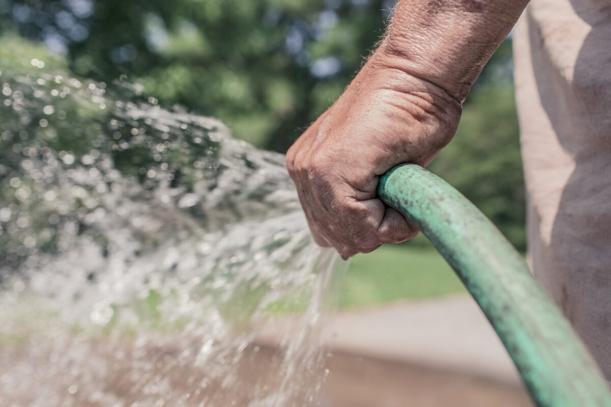 pest fighter sprays water from a water hose