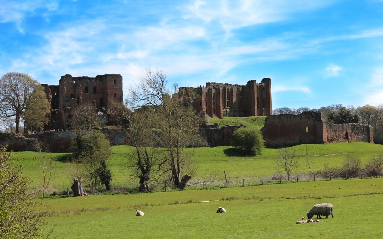 agricultural setting with sheep and an ancient castle
