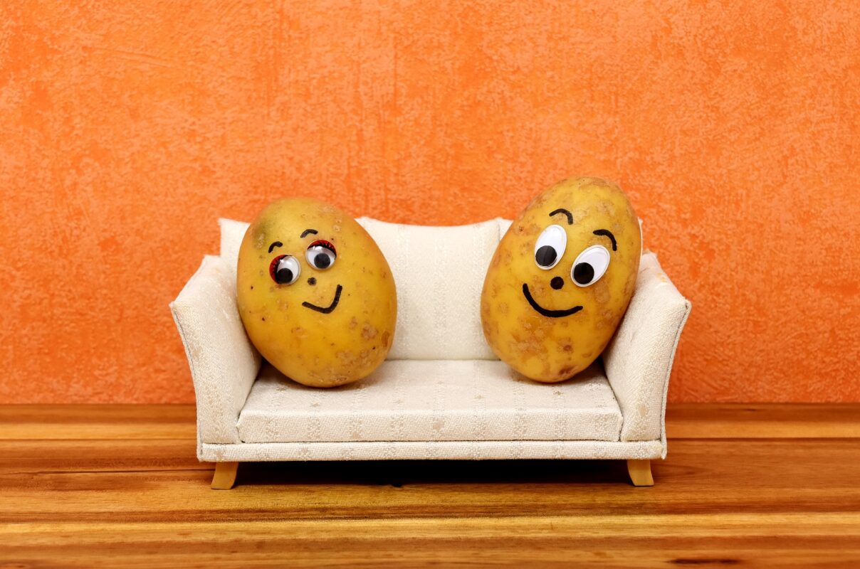 couch potatoes, funny