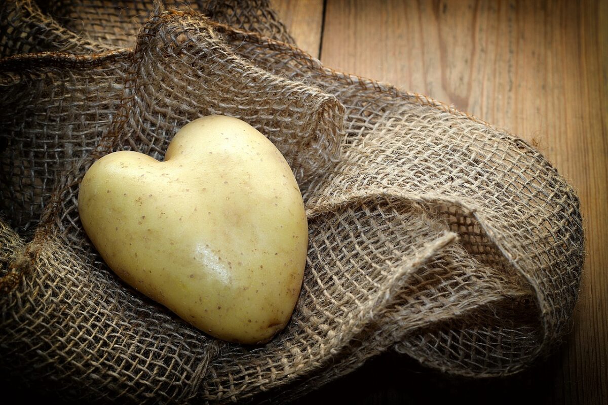 grow amazing potato, heart, fabric
