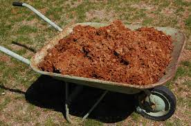 bark mulch in a wheelbarrow