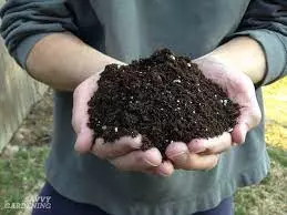 soil for container gardening
