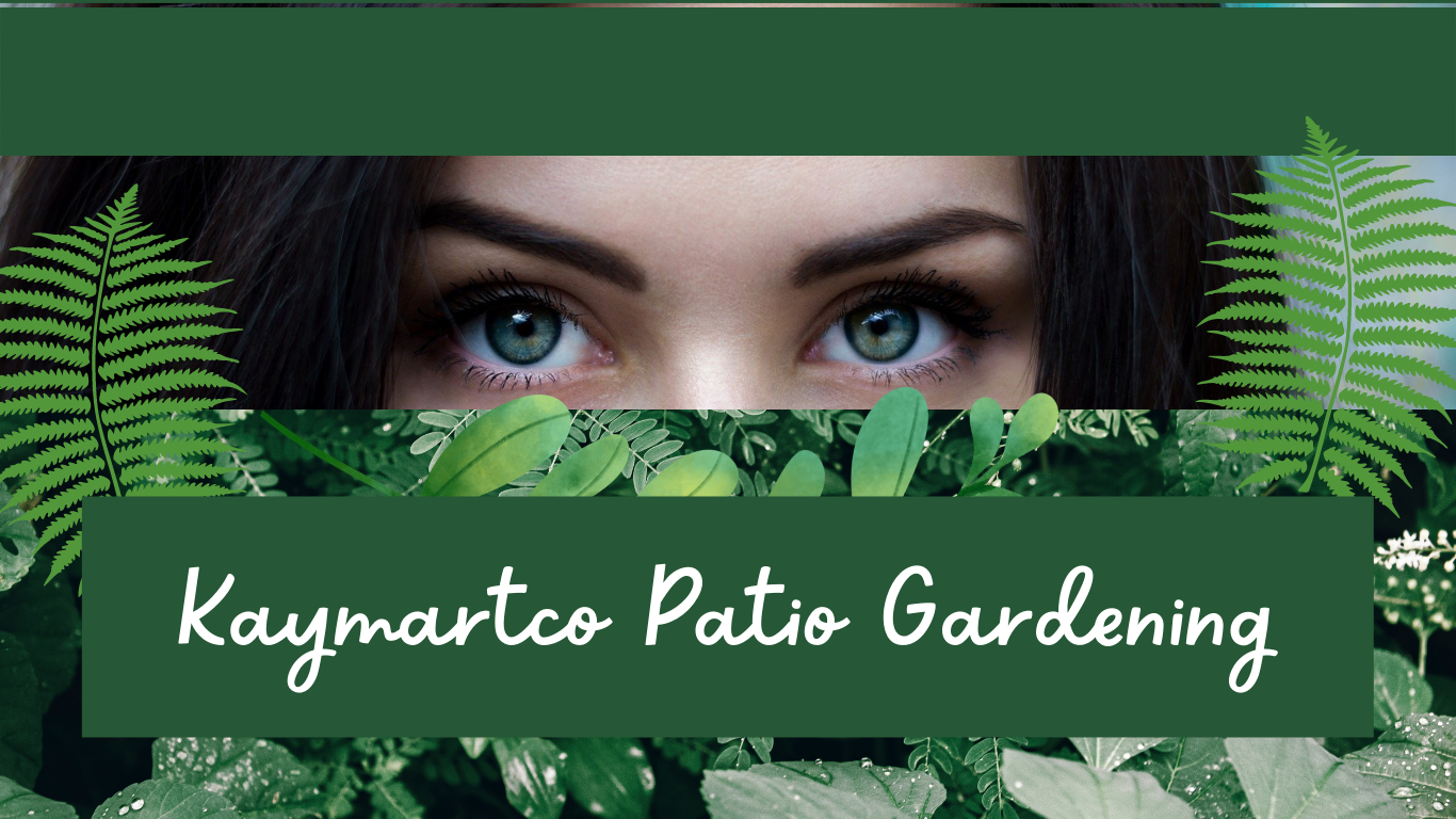Kaymartco Home
