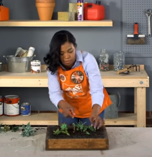 woman planting succulents into a wooden frame box.