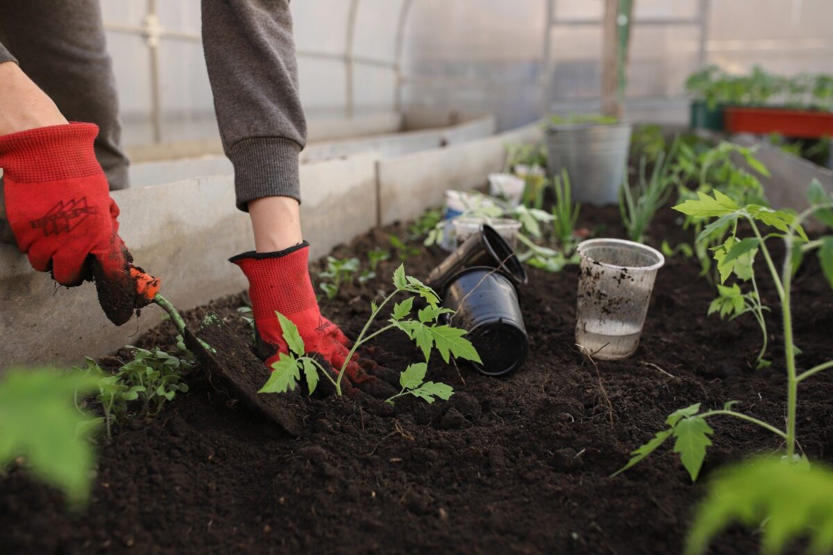 Gardener in red gloves with different types of soil