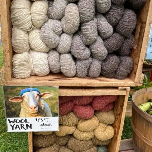 St Johnsvury VT Farmers Market Wool