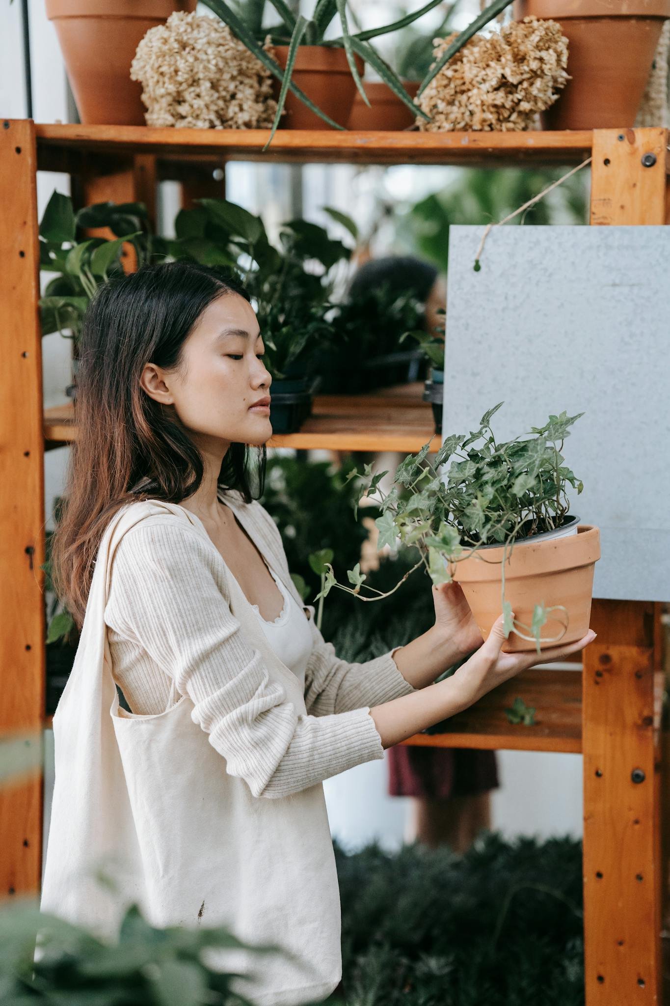 A Woman Shopping for Plants