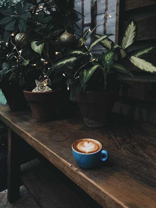A cup of coffee sits on a wooden table next to potted plants