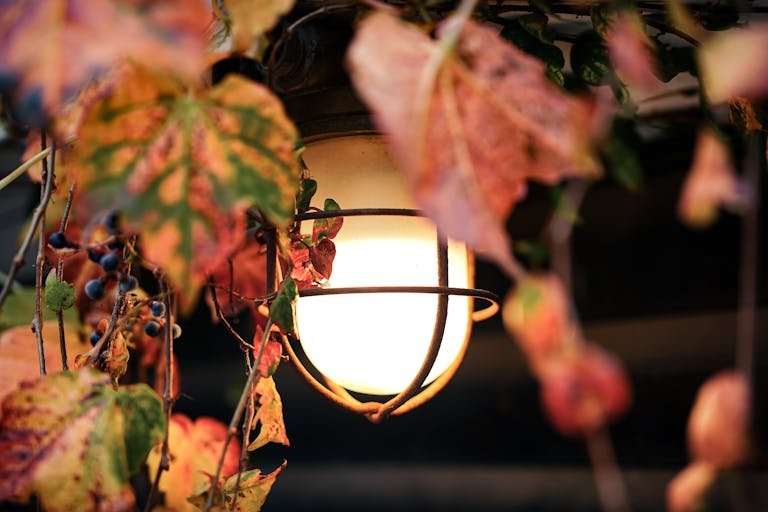 Warm autumn scene with a glowing lantern surrounded by colorful leaves, symbolizing the season's cozy atmosphere.