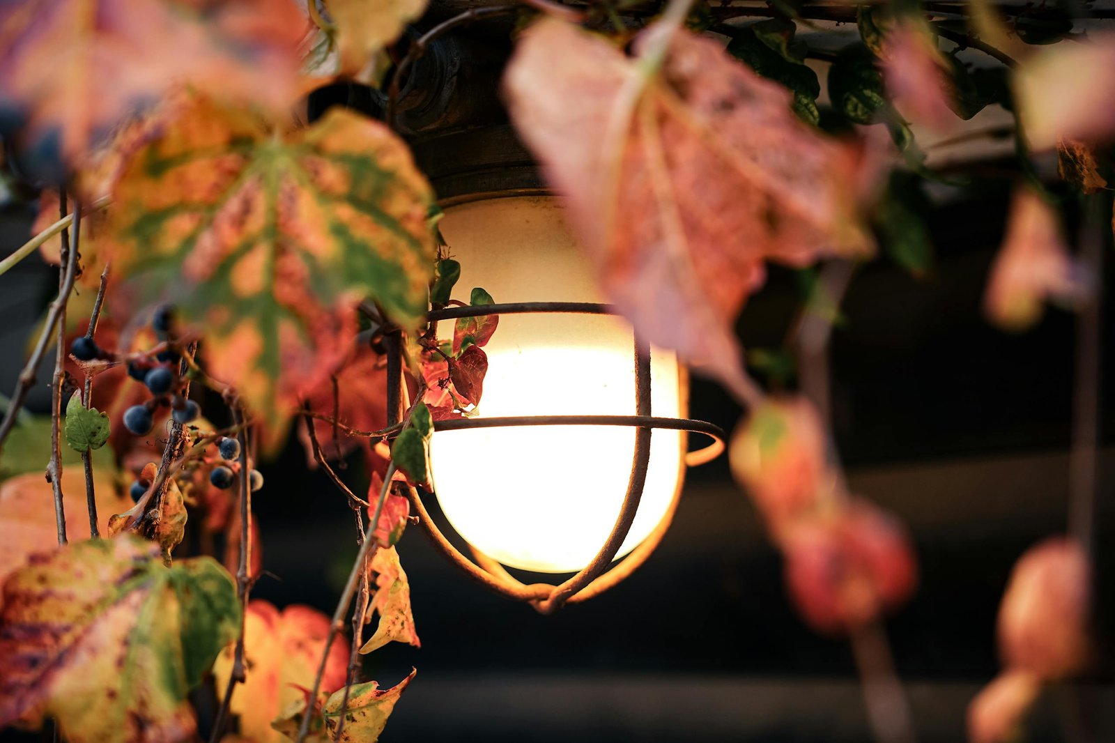 Warm autumn scene with a glowing lantern surrounded by colorful leaves, symbolizing the season's cozy atmosphere.