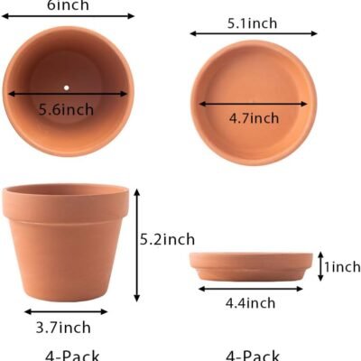 6" Terracotta Pots