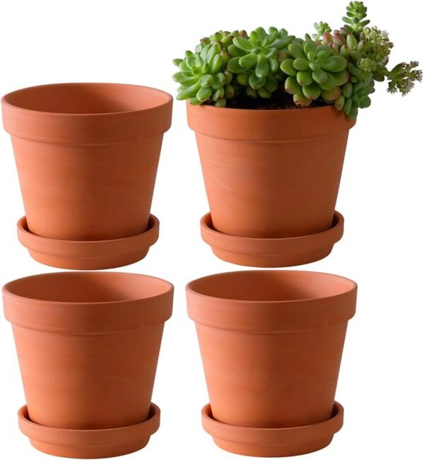 6" Terracotta Pots - Image 3