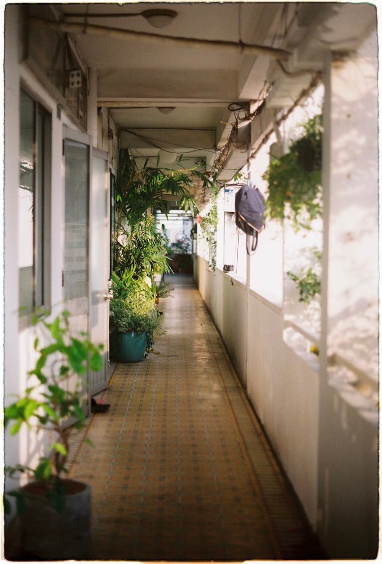 Brightly lit hallway with various potted plants creating a serene green alley indoors.
