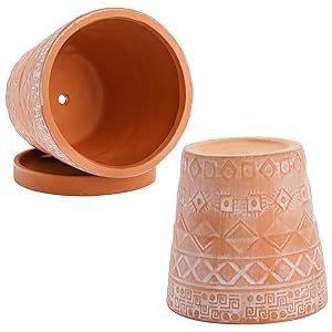 Terracotta pots